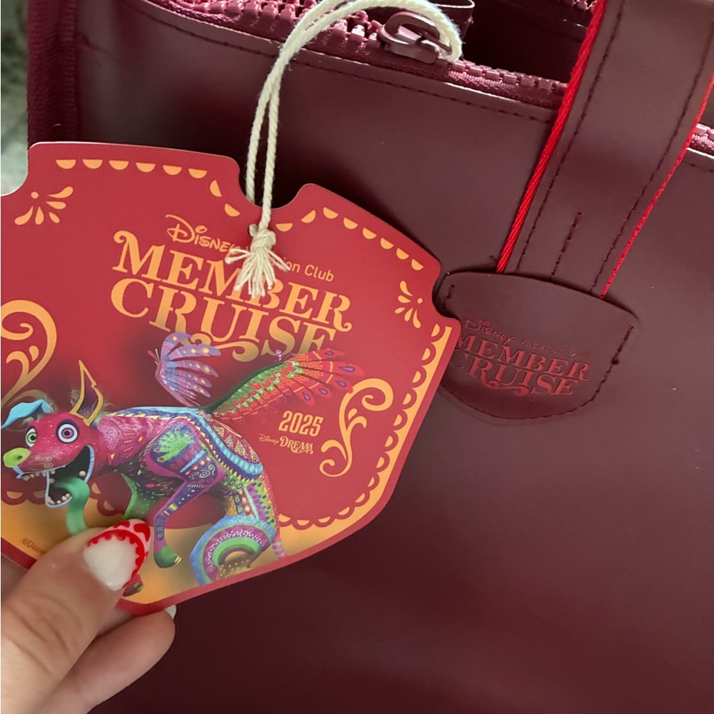 Disney vacation club member cruise exclusive coco Dante beach tote bag NWT ♥️ - Picture 3 of 5